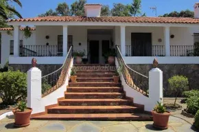 Imagen de La Cheflera