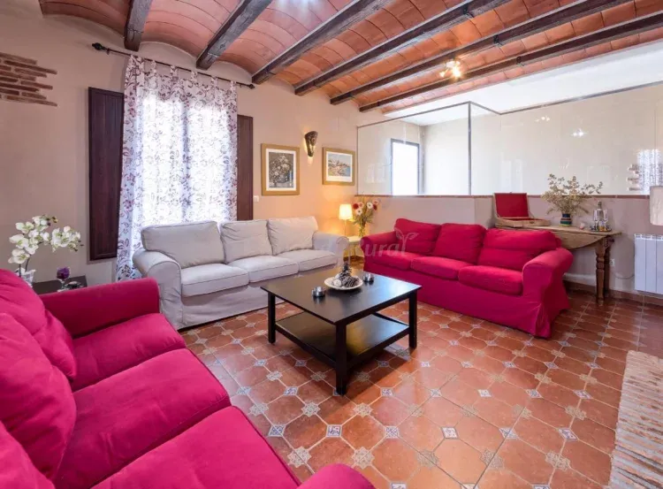 Imagen de Detalle de cristalera en salón chimenea