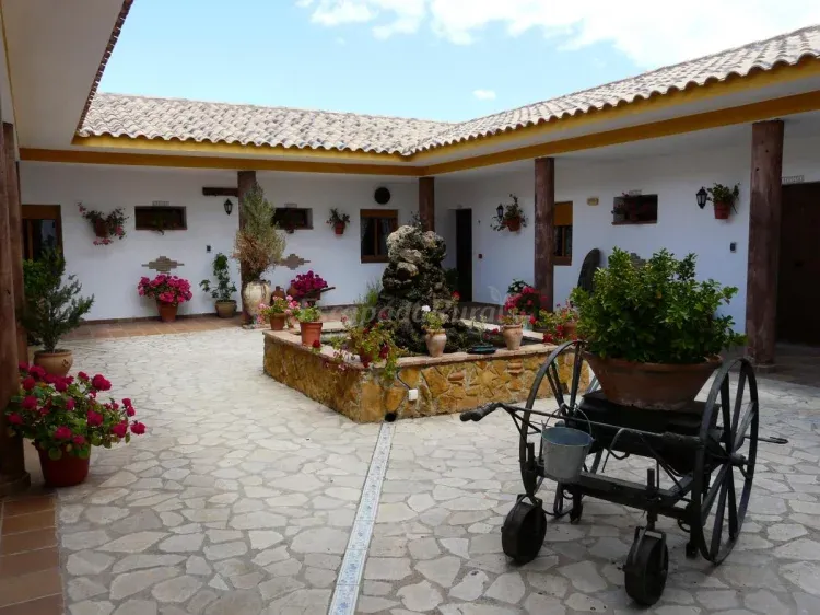 Imagen de Patio andaluz y las 4 casas