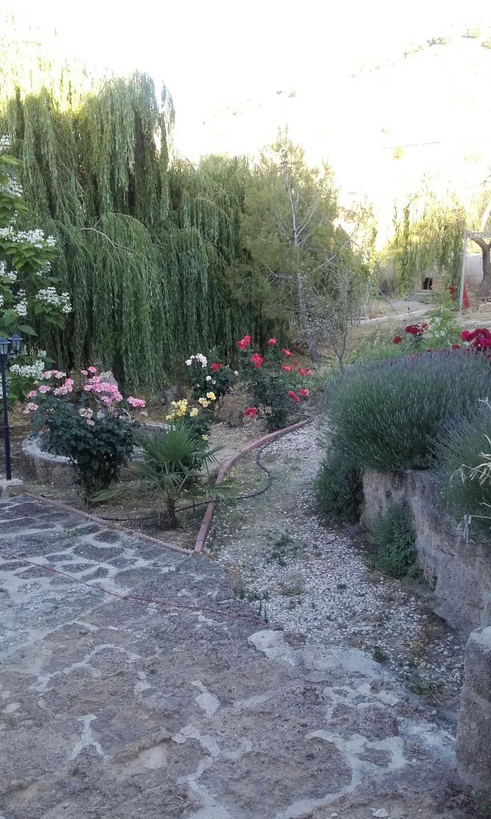 Imagen de Jardin