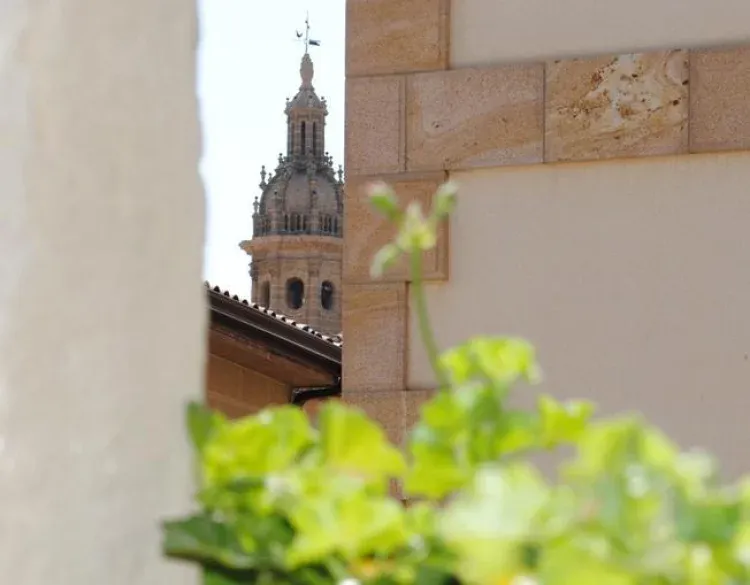 Imagen de Vistas