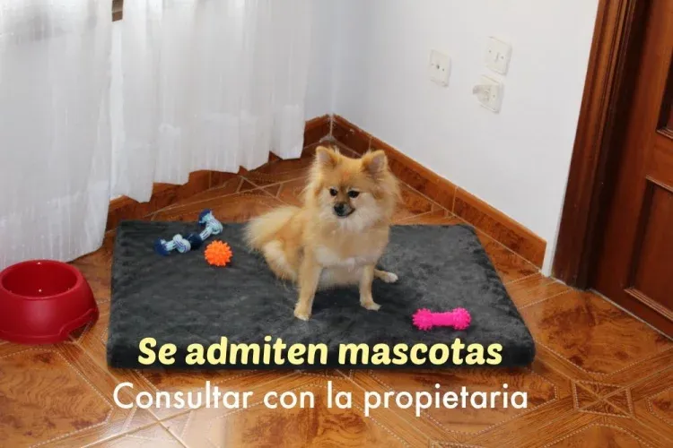 Imagen de Casa pet-friendly