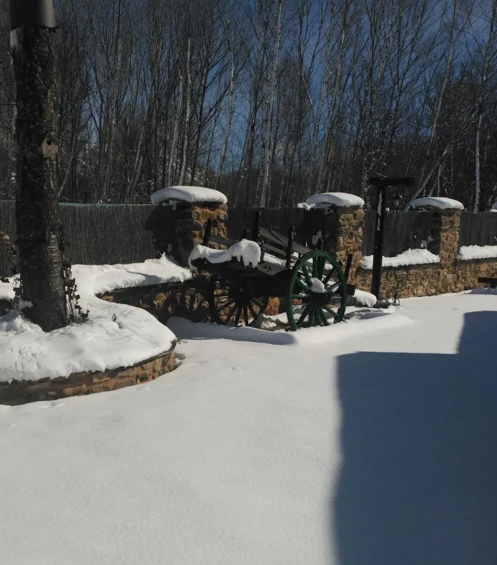 Imagen de Nieve en el jardín