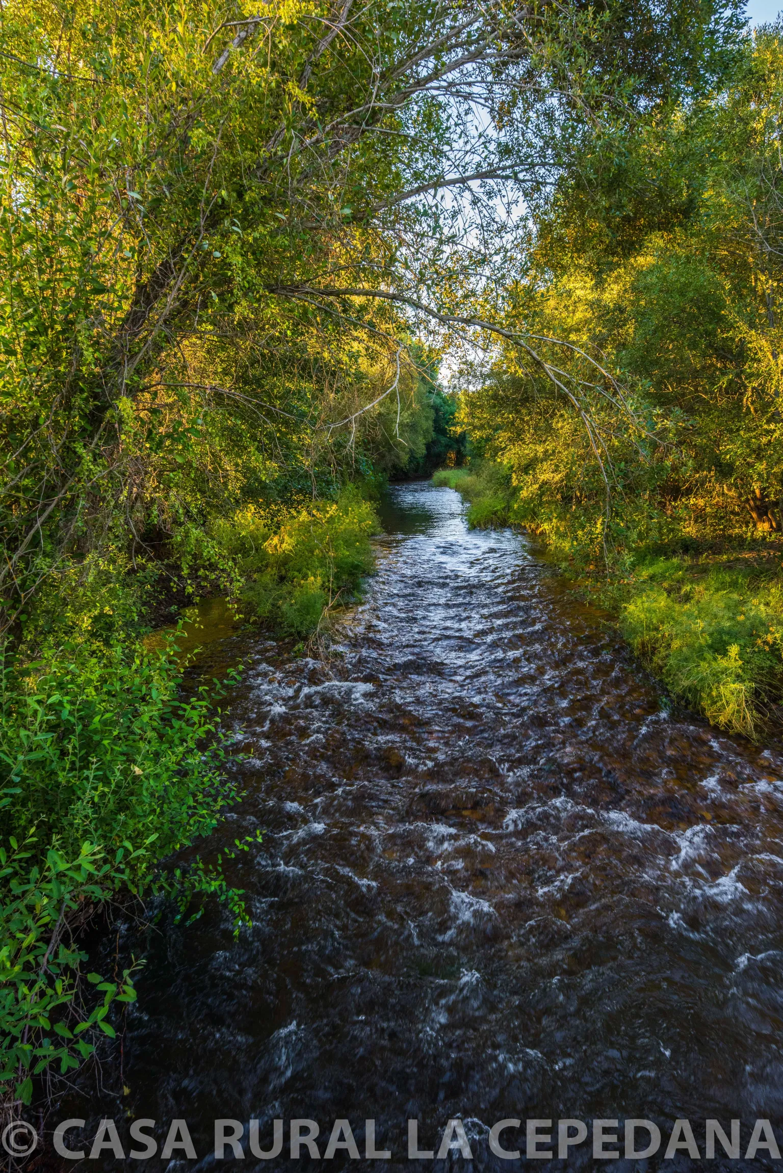 Imagen de Cogorderos- Rio Tuerto