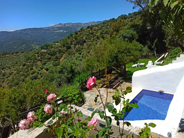 Imagen de Piscina tipo alberca