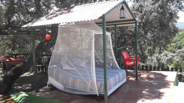 Imagen de Cama balinesa en piscina.