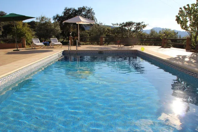 Imagen de Piscina, barbacoa, sombrado, hamacas, mesa central y sillas...