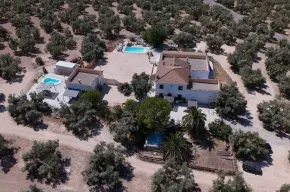 Imagen de La Perdiz de Molinca