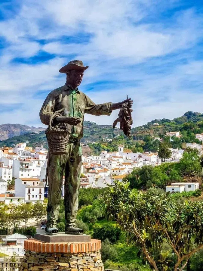 Imagen de Alrededores