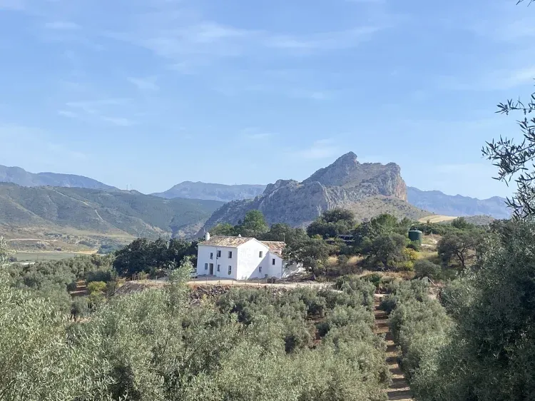 Imagen de Vista panoramica