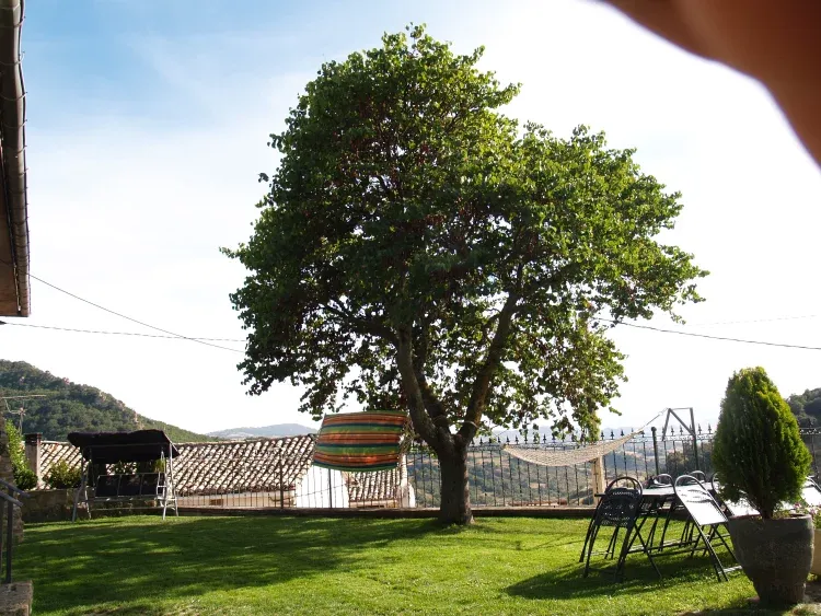 Imagen de Jardín