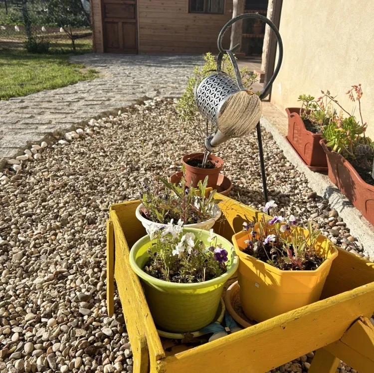 Imagen de Jardin casa manuela 