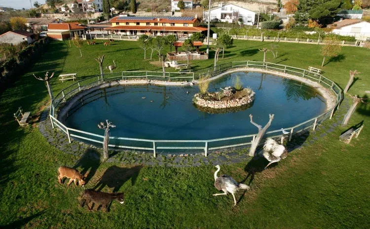 Imagen de Estanque - La Noria