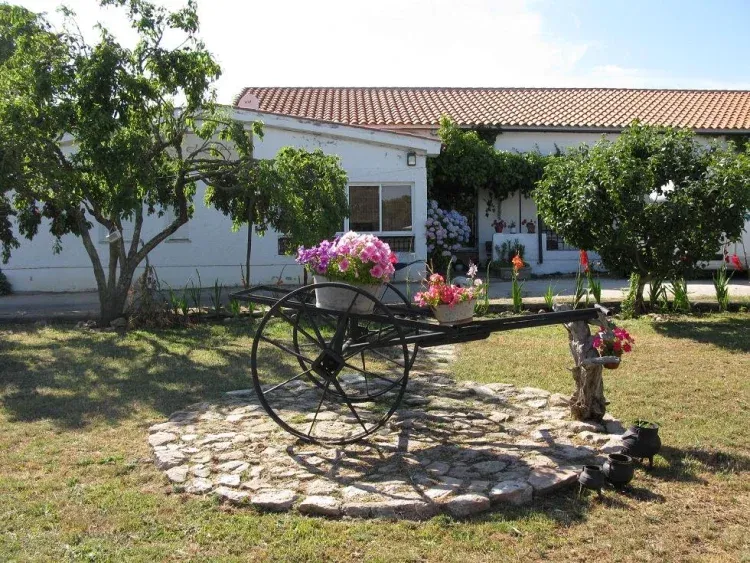 Imagen de Jardín delantero de la casa.