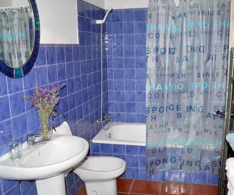 Imagen de Aguamanil. Detalle del baño