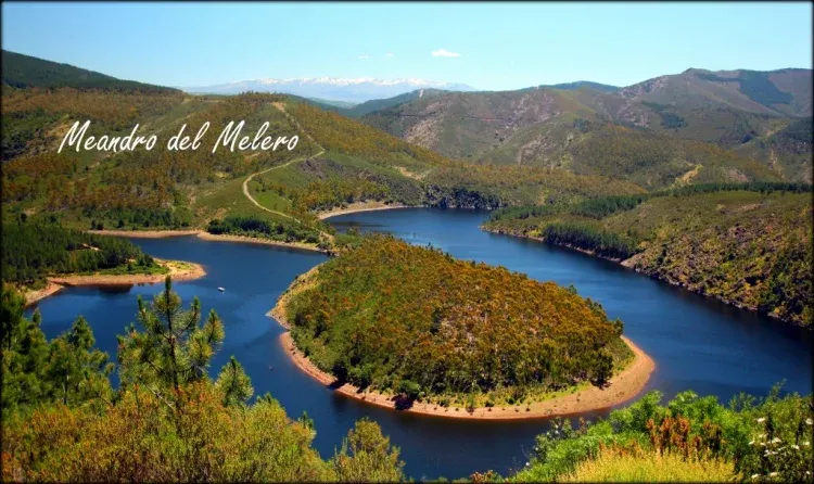Imagen de Meandro Melero