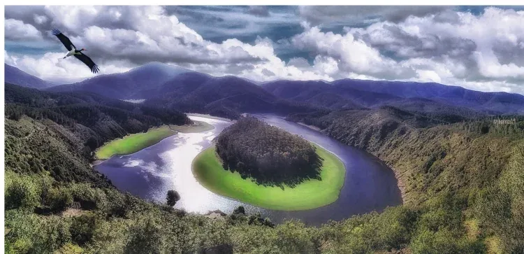 Imagen de Meandro t
