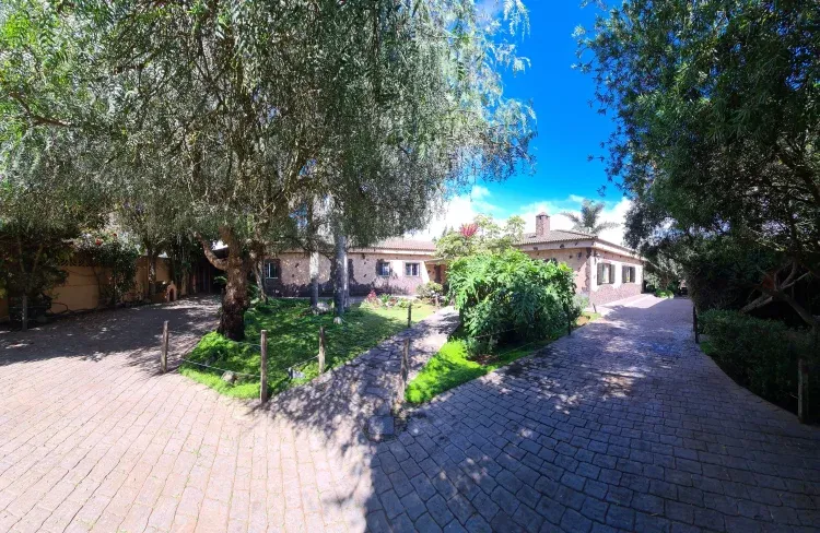 Imagen de Entrada
