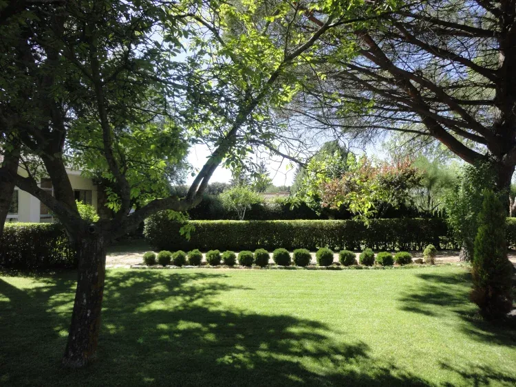 Imagen de Jardín
