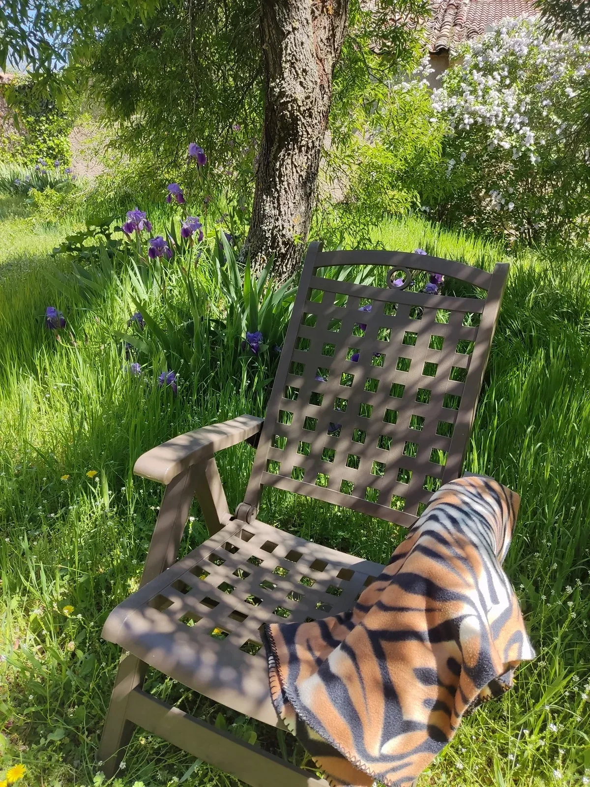 Imagen de relax en el jardín