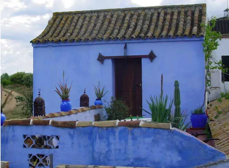 Imagen de Alminara