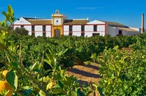Imagen de Hacienda Santa Ana