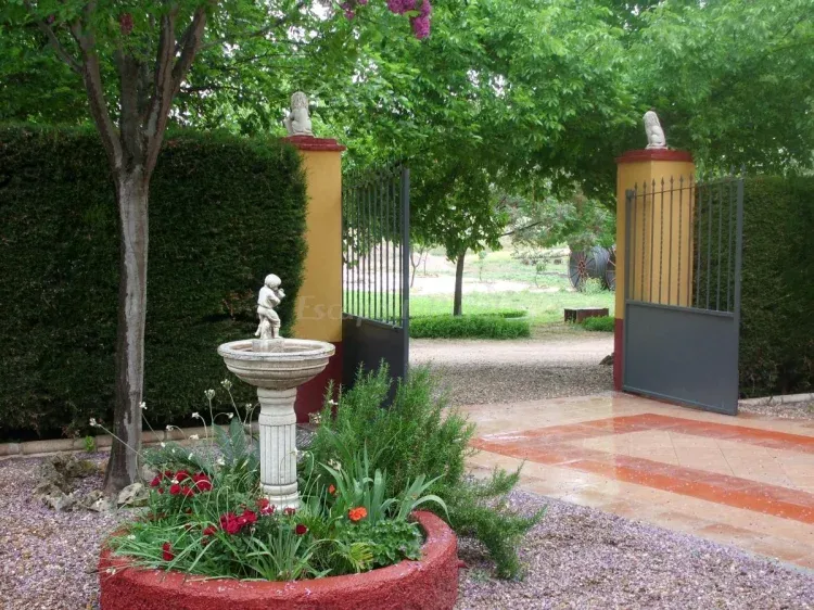 Imagen de entrada