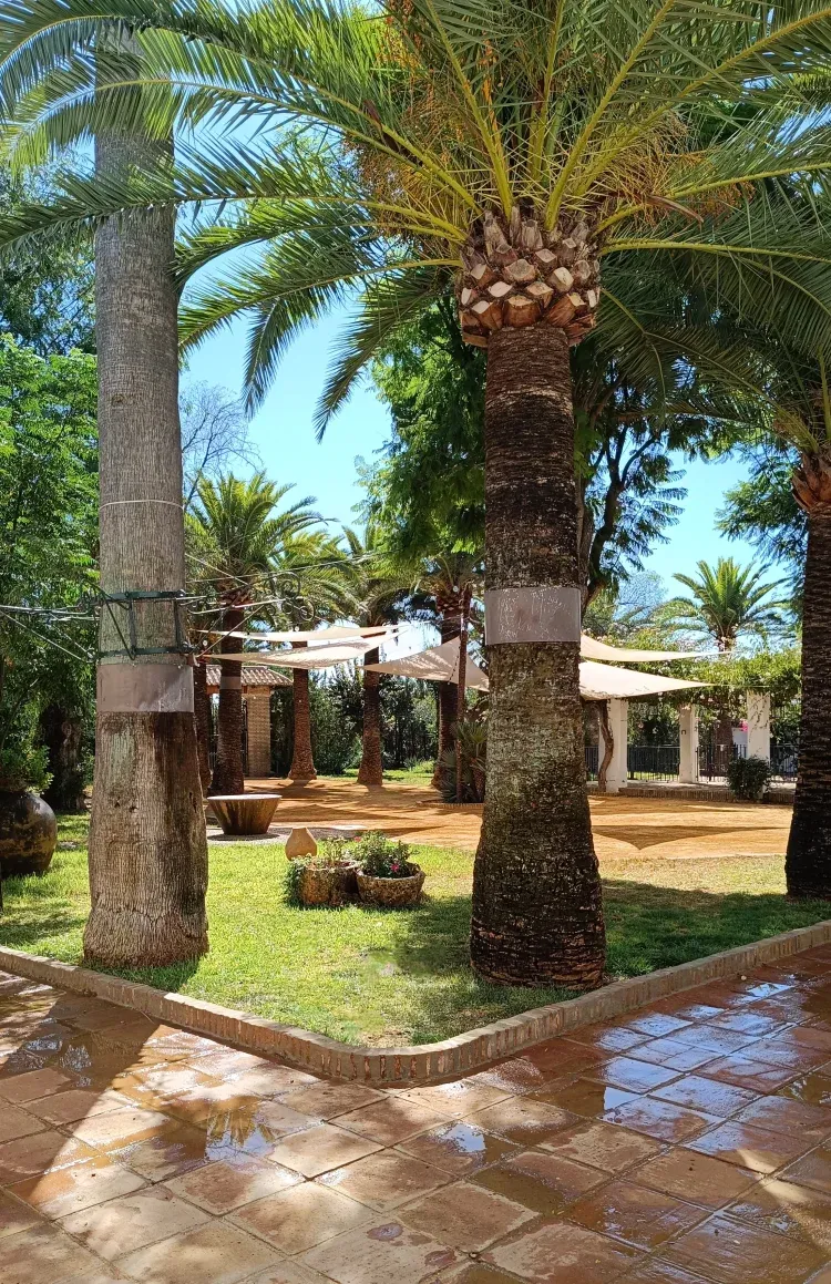 Imagen de Acceso a jardin