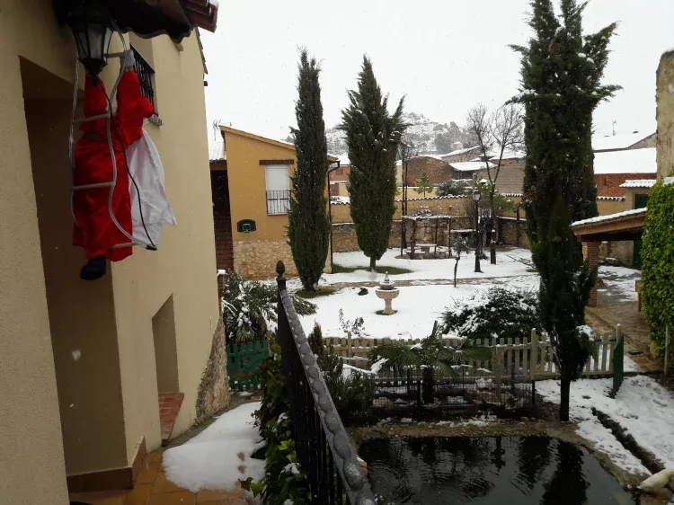 Imagen de Panorámica jardín nevado