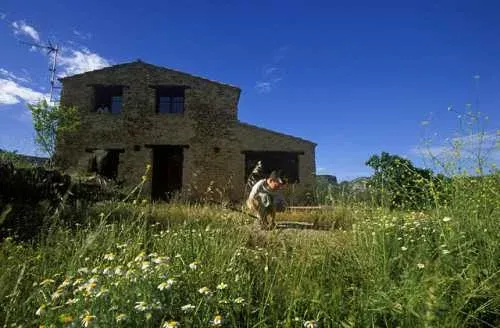 Imagen de Jardín