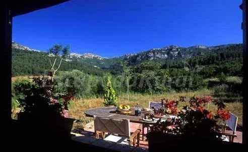 Imagen de Jardín