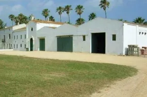 Imagen de Isla de Buda