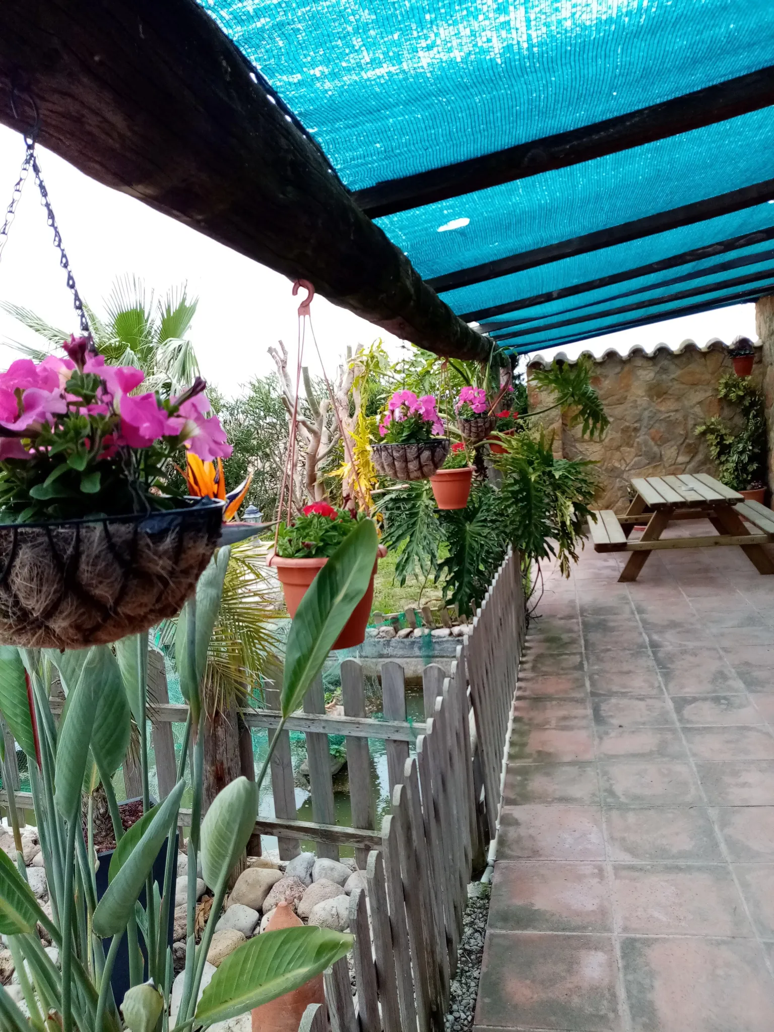 Imagen de CASA 1