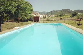 Imagen de Les Violetes