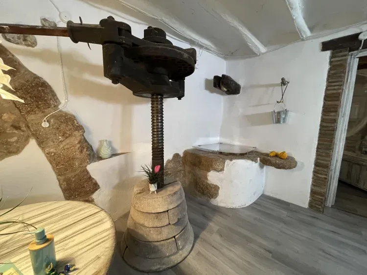 Imagen de Vista Pozo y prensa de vino