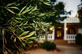 Imagen de Cortijo del Rincón