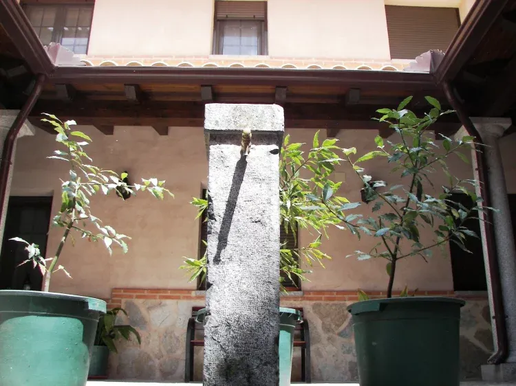 Imagen de Detalle fuente patio
