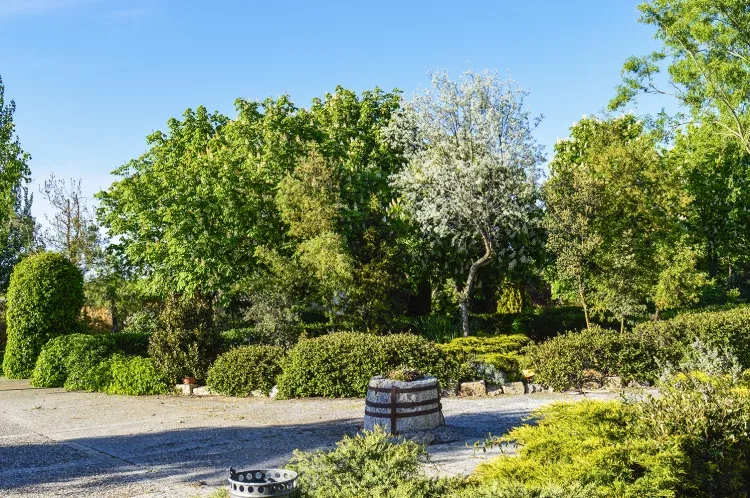 Imagen de Jardín