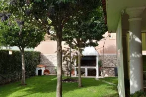 Imagen de El Olivo