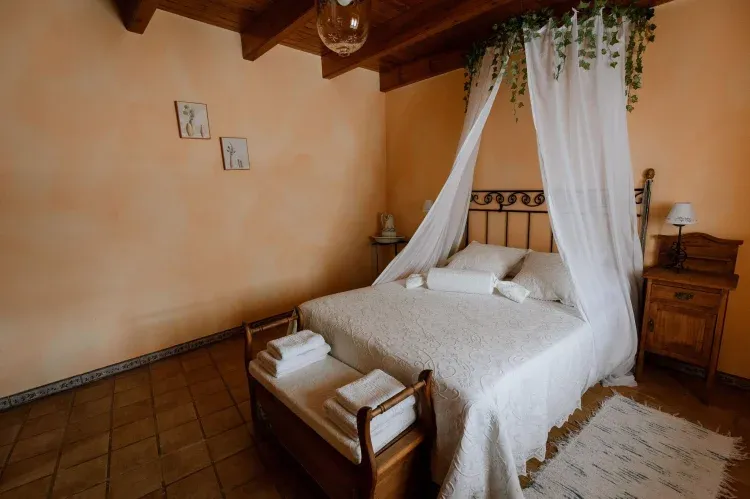 Imagen de Habitacion Dosel