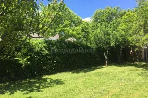 Imagen de Casa Otilia