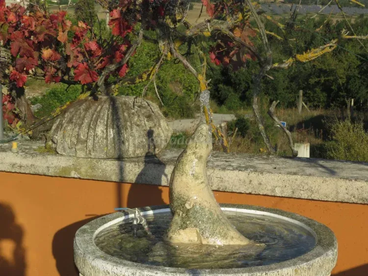 Imagen de Apartamento Añana.Fuente de la terraza
