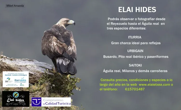 Imagen de Hides fotográficos