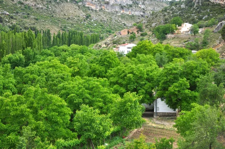 Imagen de Casa y alrededores