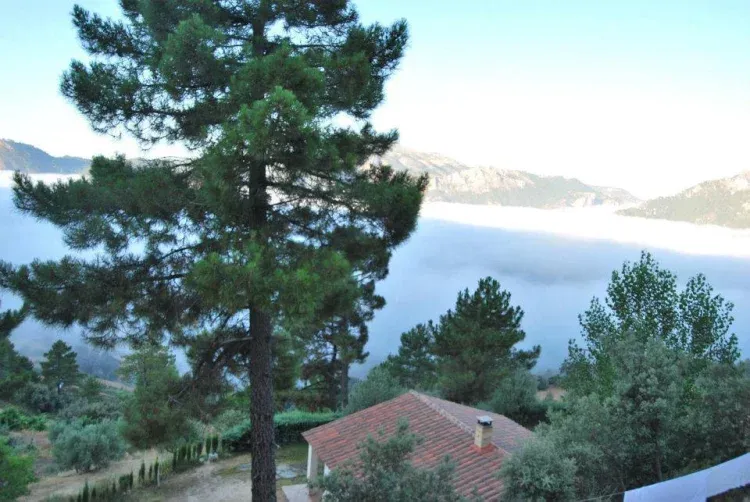 Imagen de Vistas