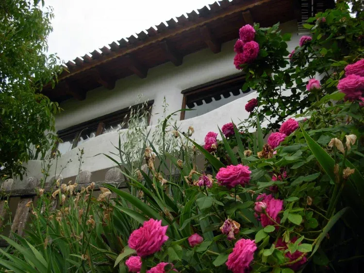Imagen de Casa Genaro