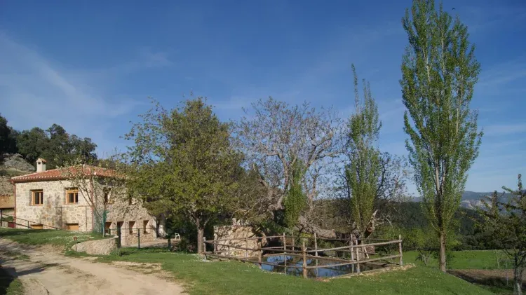 Imagen de Panorámica general.
