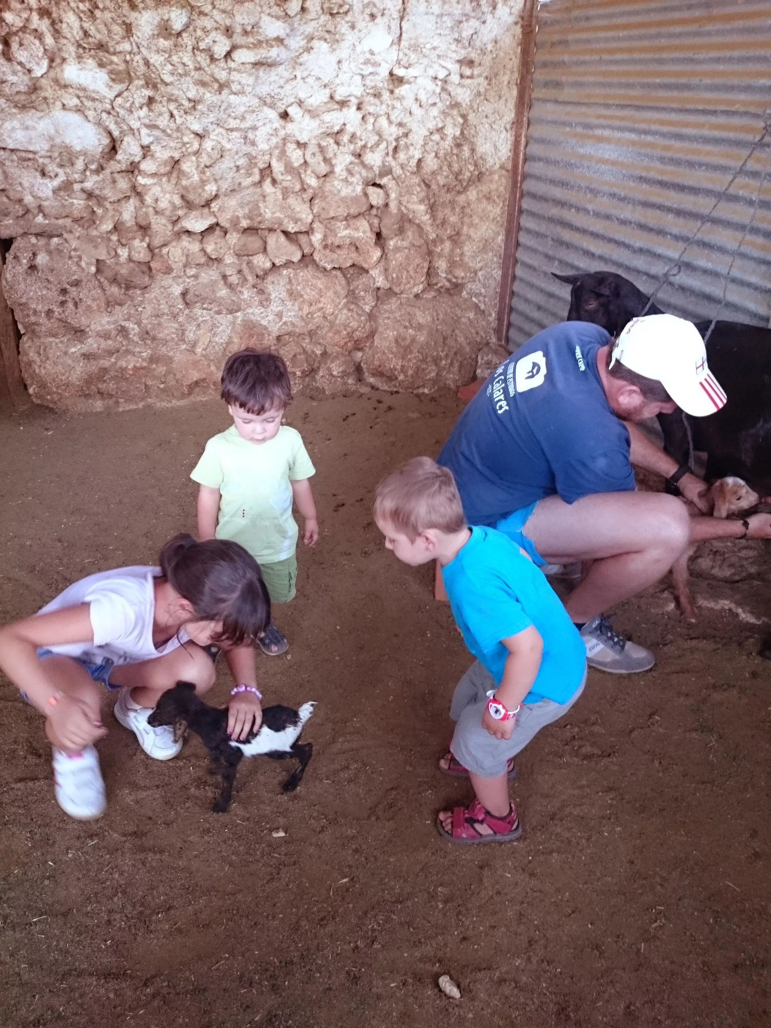 Imagen de Experiencias para toda la familia con animales.