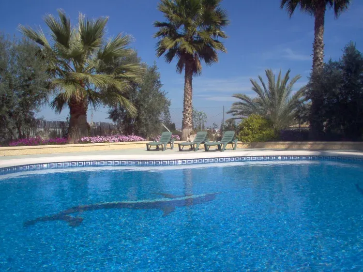 Imagen de 1-Piscina con tumbonas
