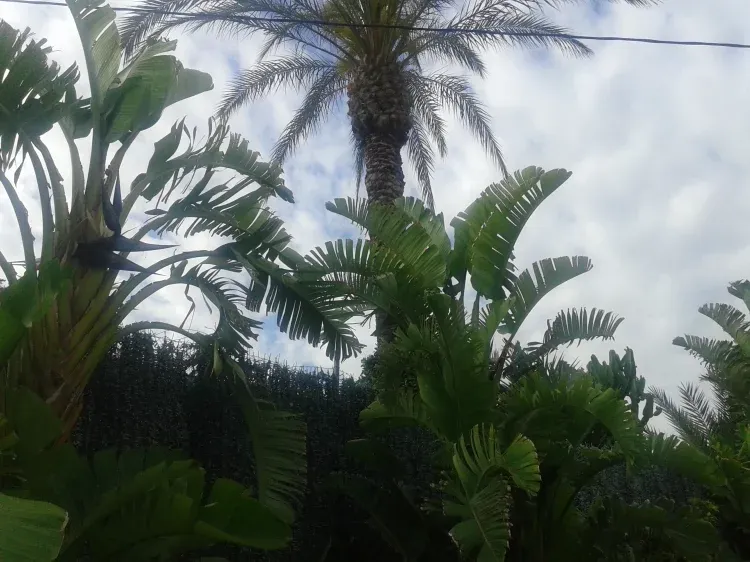 Imagen de 4-Jardín piscina